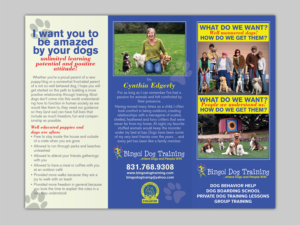 Flyer Design by Mon01 for Bingo Dog Training | Design: #12359505