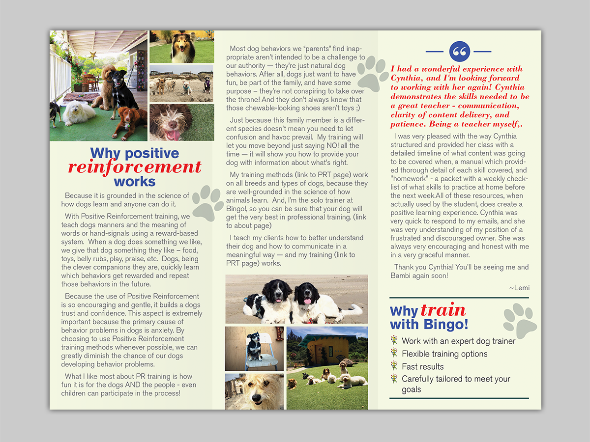 Flyer Design by Mon01 for Bingo Dog Training | Design #12359506