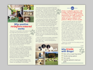 Flyer Design by Mon01 for Bingo Dog Training | Design: #12359506