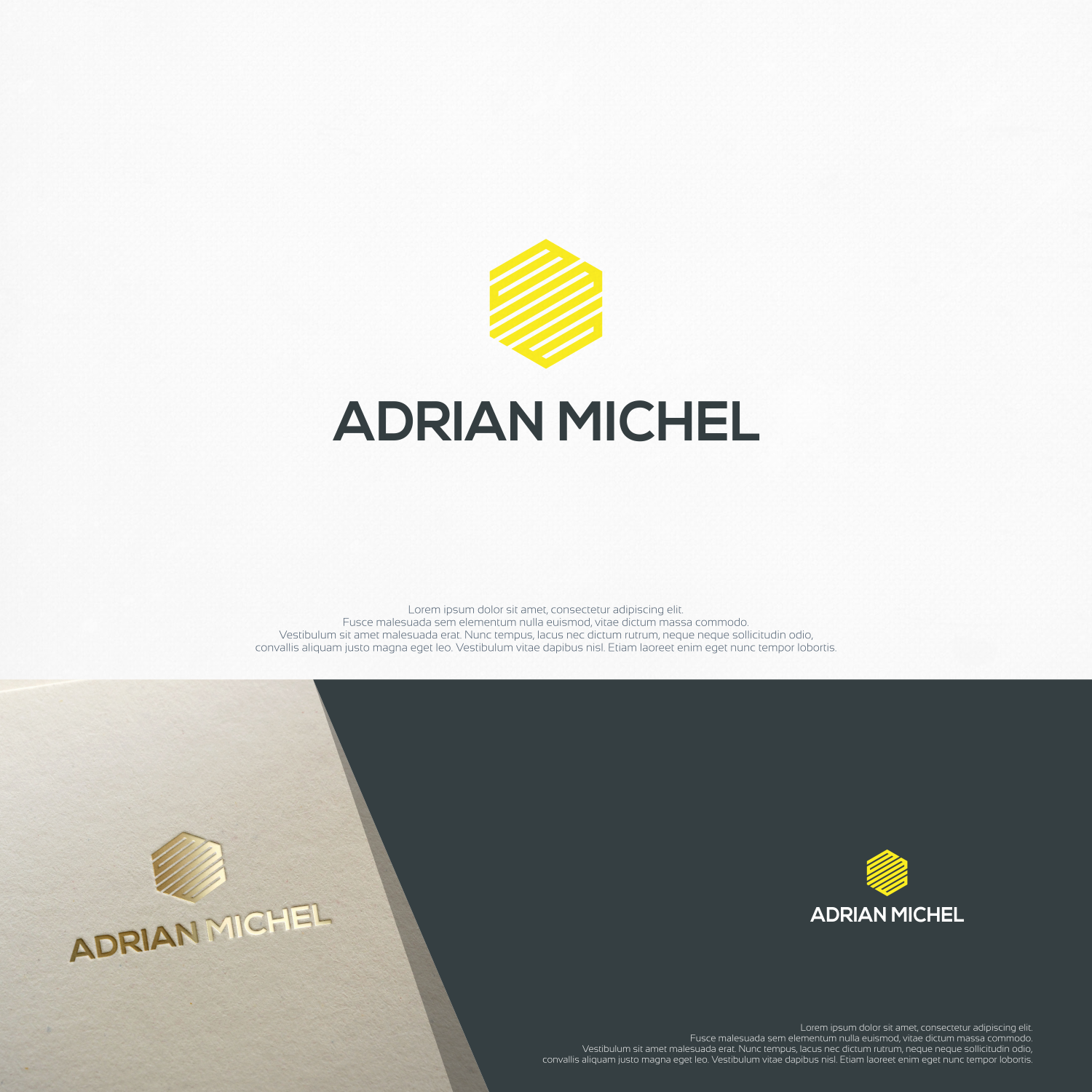 Logo Design by jenggot_merah_ for von Arx Consulting | Design #12307937
