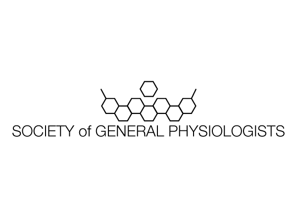 Diseño de Logo por PIT para este proyecto | Diseño #2434095