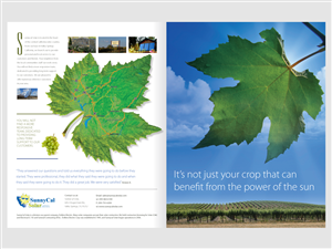 Solar for Wineries
