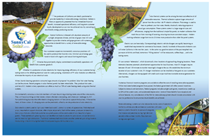 Solar for Wineries | Brochure Design by ganz abecia