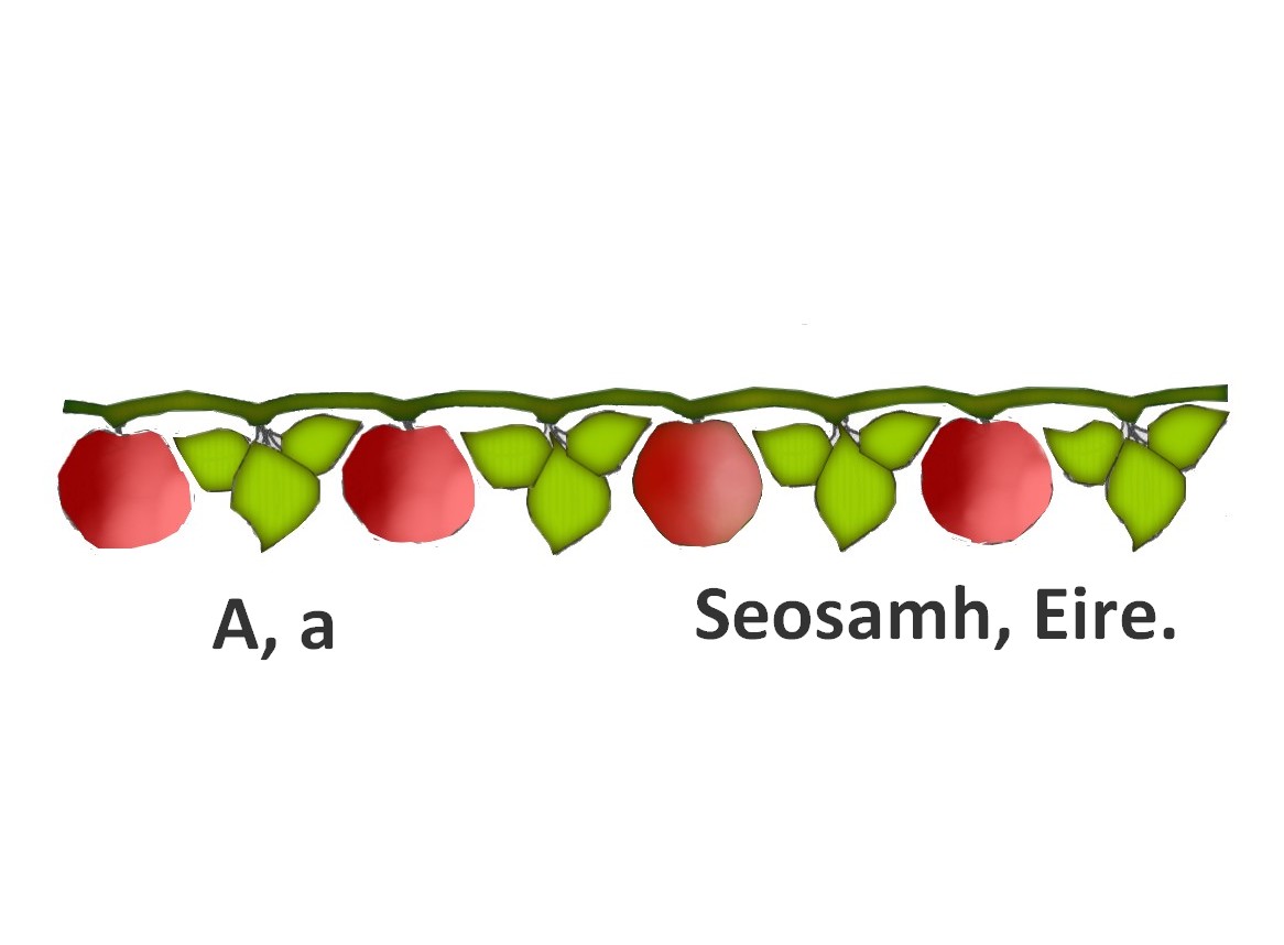 Illustration Design by designerone for this project | Design #13449573