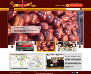 Web Design by Vikas choudhary
