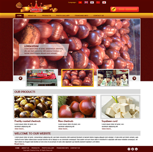 Web Design by Vikas choudhary for this project | Design: #2452665