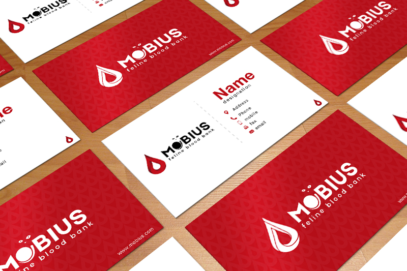 Business Card Design by daredevilarsalan for this project | Design #12458256
