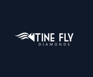 Design de Logo par CHLAY_designs pour Tine Fly Diamonds | Design #12323609