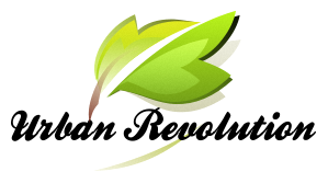 Logo Design by Jeet for this project | Design: #2442481