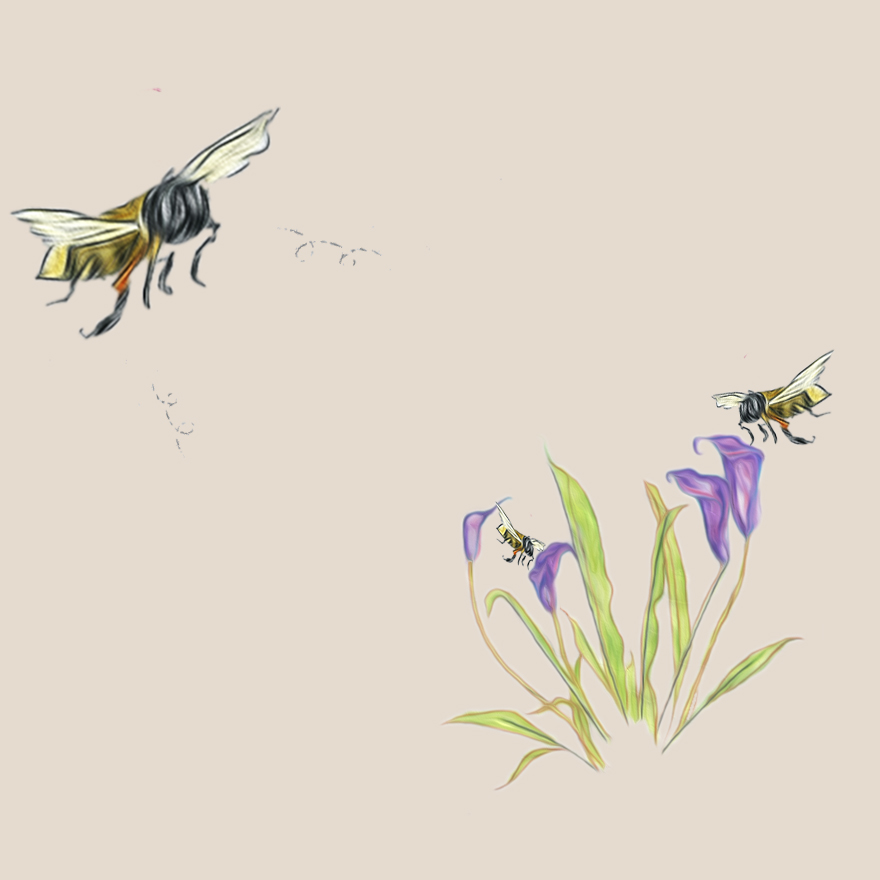 Illustration Design by M_238 for DesignCrowd (Community Contests) | Design #12359142