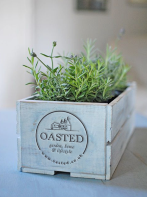 Logo Design by wonderland for Oasted | Design: #12371390