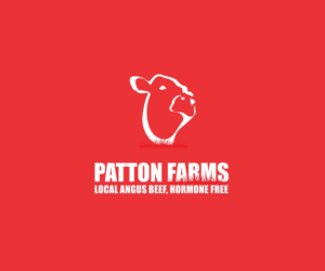 Logo Design by maxnik