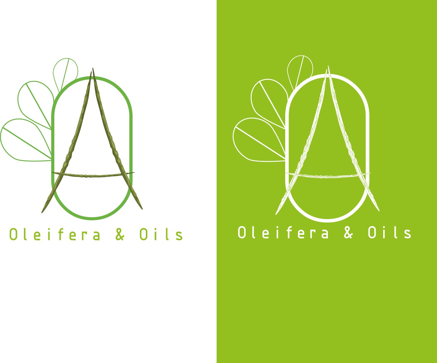 Logo Design by juandff for this project | Design #12343723