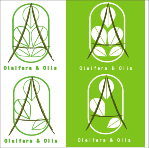 Logo Design by juandff for this project | Design: #12405982