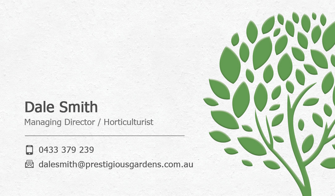 Business Card Design by Sandaruwan for this project | Design #13080689