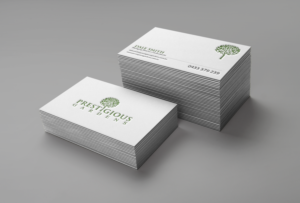 Business Card Design by chandrayaan.creative for this project | Design: #12998936