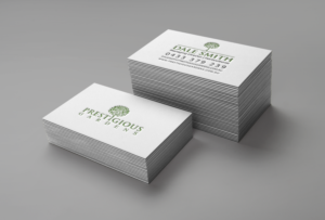 Business Card Design by chandrayaan.creative for this project | Design #12998974