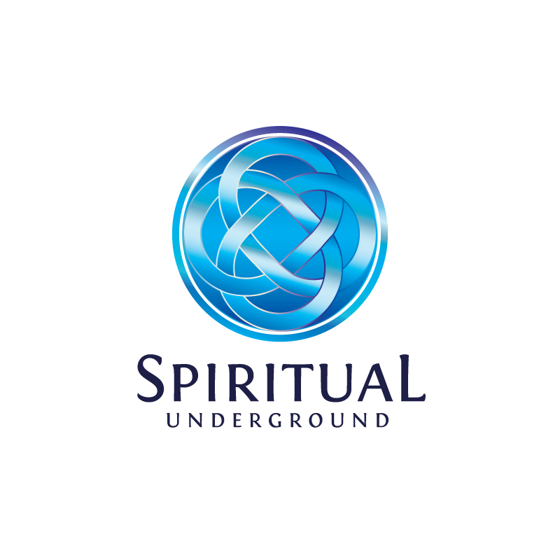 Logo Design by Enea for Pandora Star LTD | Design #12341371