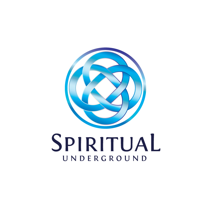 Design de Logo par Enea pour Pandora Star LTD | Design #12341419