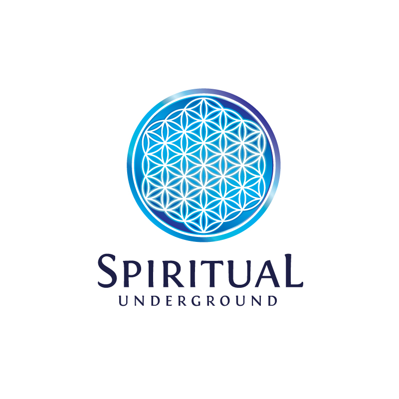 Logo Design by Enea for Pandora Star LTD | Design #12341814