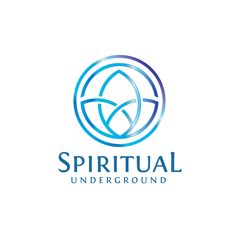 Logo Design by Enea for Pandora Star LTD | Design #12342278