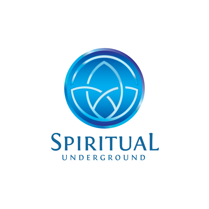 Diseño de Logo por Enea para Pandora Star LTD | Diseño #12342308