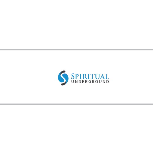 Logo Design by Tere G artwork for Pandora Star LTD | Design #12344026