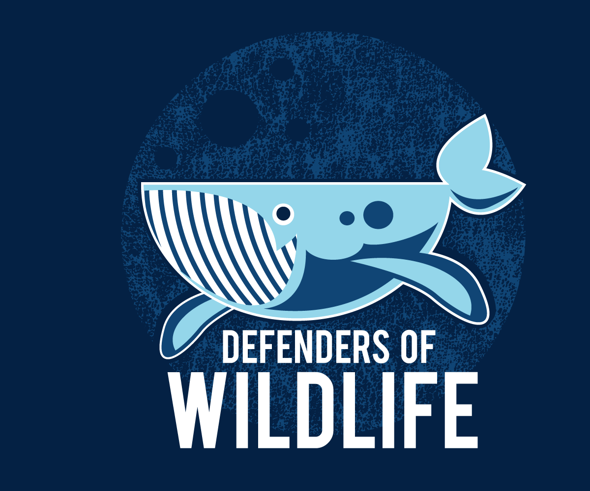 T-shirt Design by Kelly for this project | Design #2405358