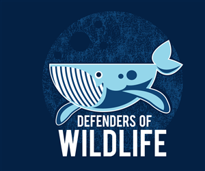 T-shirt Design by Kelly