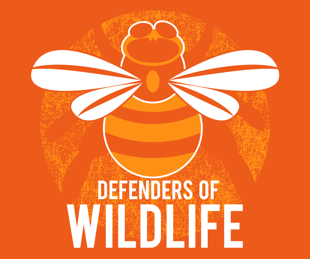 T-shirt Design by Kelly for this project | Design #2405381