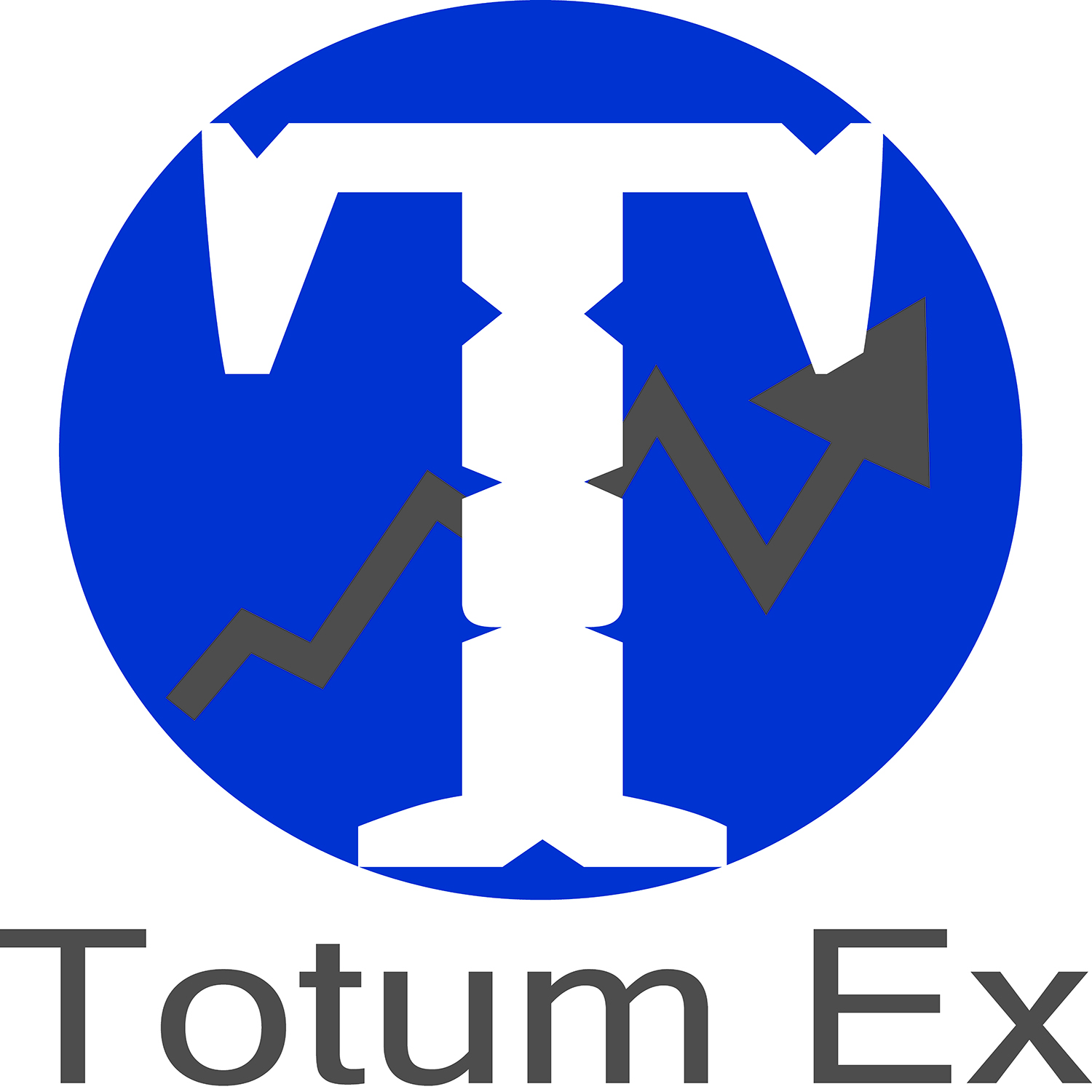 Logo Design by boopdesign for TotumEx | Design #12353445