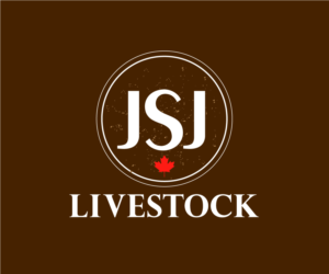Logo Design by Jay Design