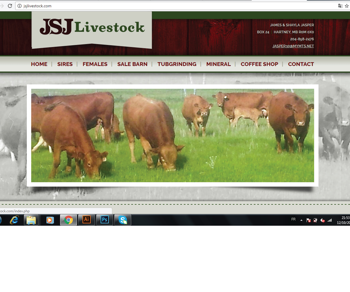 Logo Design by yoossefMaroc for this project | Design #12355765