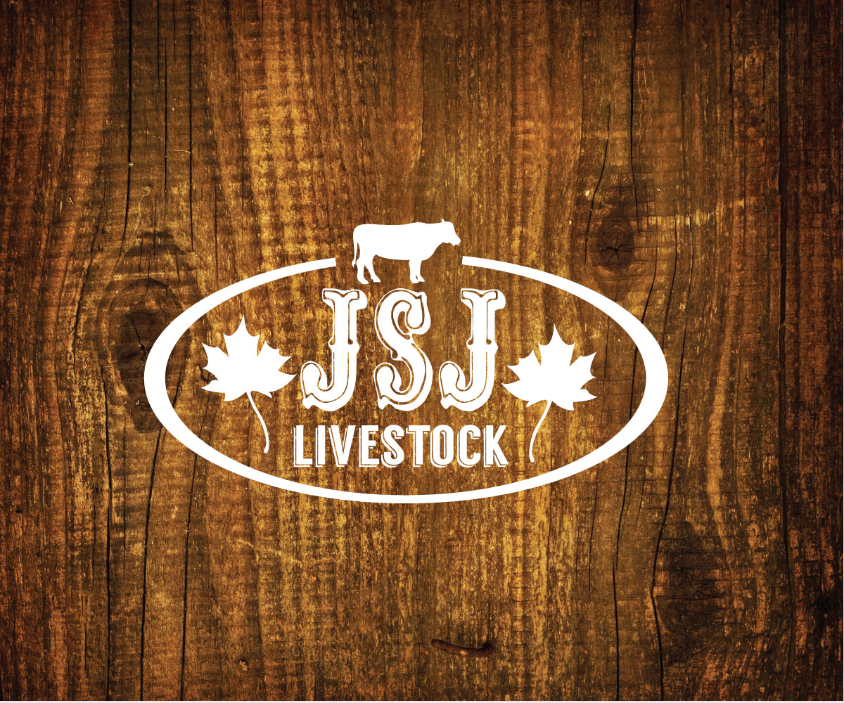Design de Logo par Aeidan pour ce projet | Design #12365691