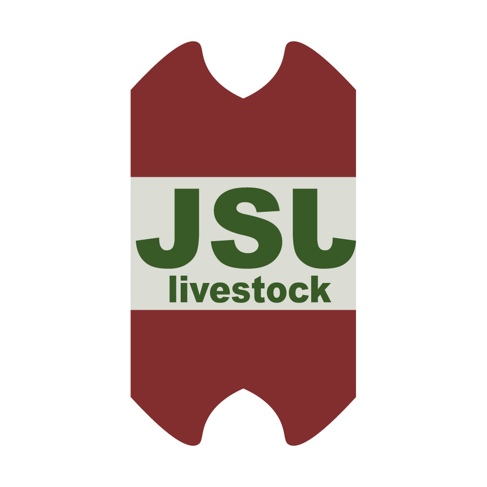 Logo Design by alex raadik for this project | Design #12399889