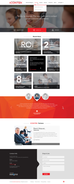 Wordpress Design by Ved Web Services