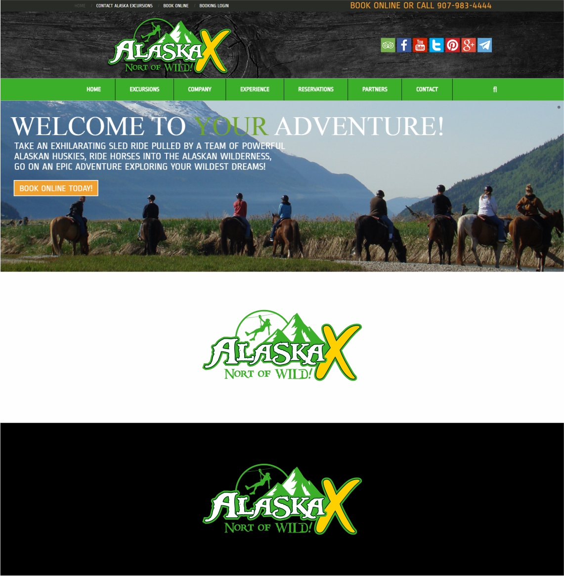 Logo Design by ADesign for AlaskaX | Design #12433506