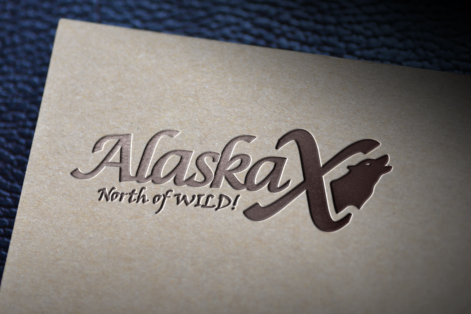 Logo Design by aalio01 for AlaskaX | Design #12364985
