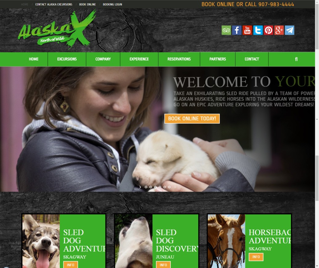Logo Design by Miho sakaguchi for AlaskaX | Design #12413335