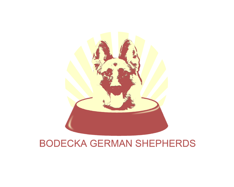 Logo Design by venheart for ELECTRICAL INSPECTORS | Design #2702333