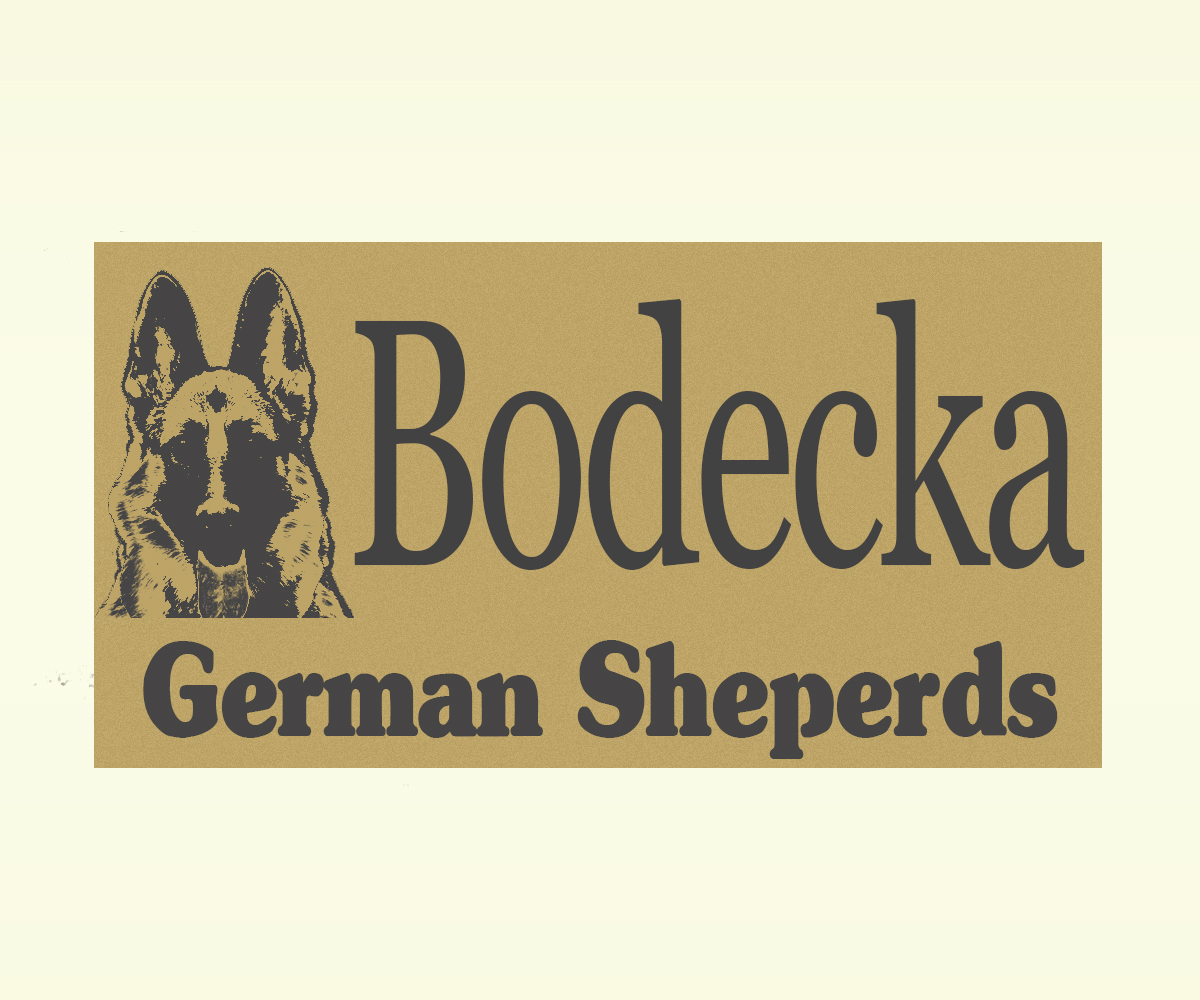 Logo Design by meygekon for ELECTRICAL INSPECTORS | Design #2723878