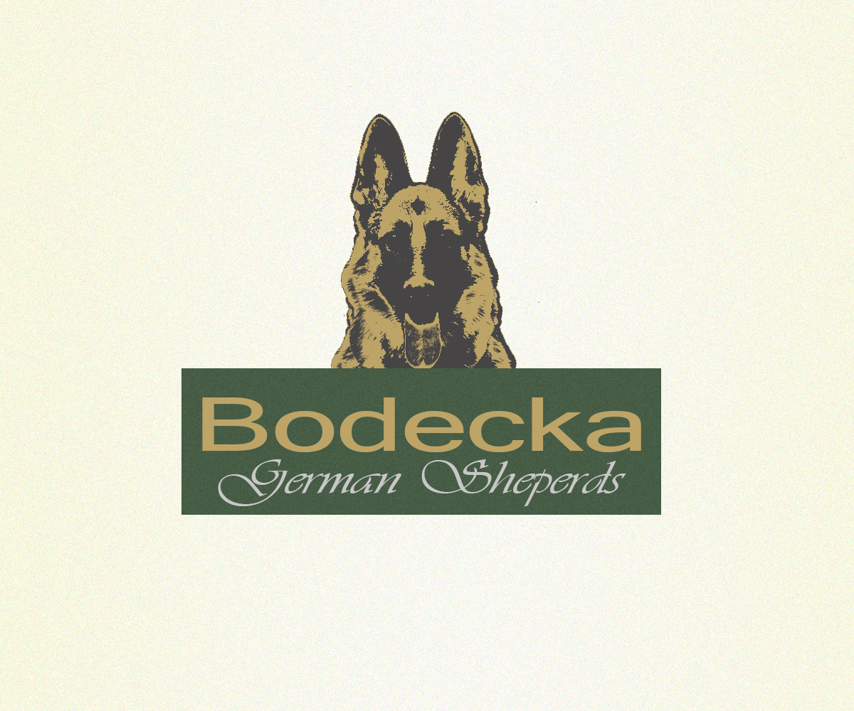 Logo Design by meygekon for ELECTRICAL INSPECTORS | Design #2724002