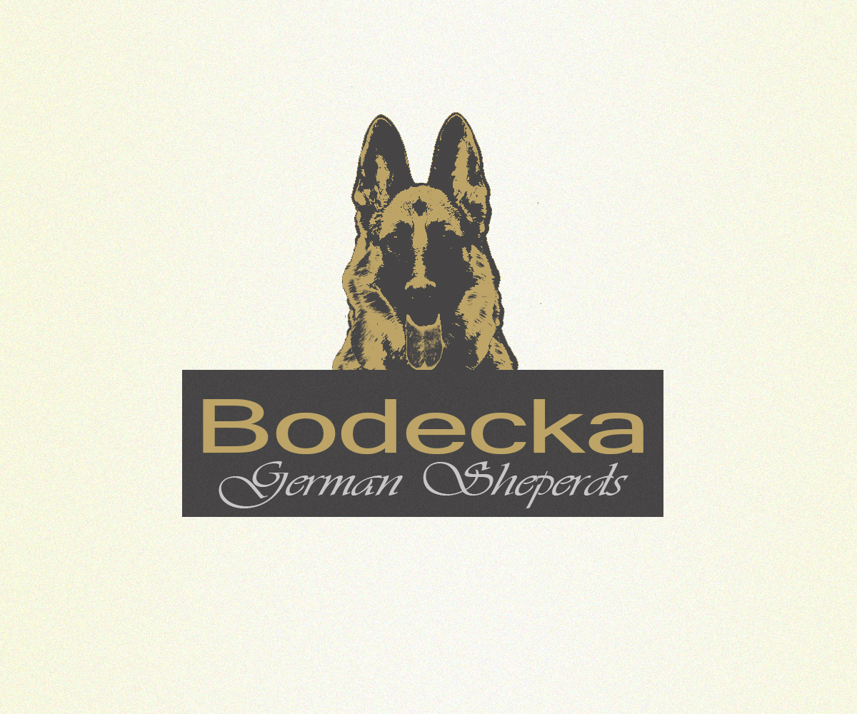 Logo Design by meygekon for ELECTRICAL INSPECTORS | Design #2724010