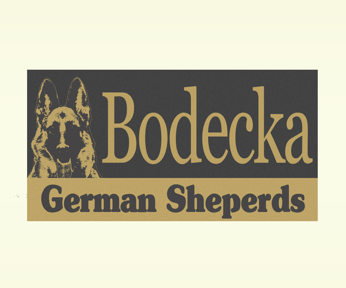 Logo Design by meygekon for ELECTRICAL INSPECTORS | Design #2732116