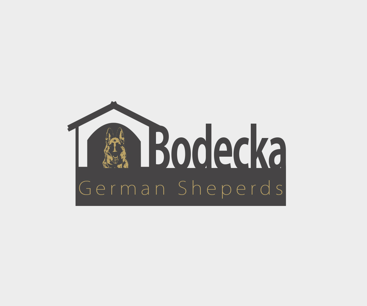 Logo Design by meygekon for ELECTRICAL INSPECTORS | Design #2732546