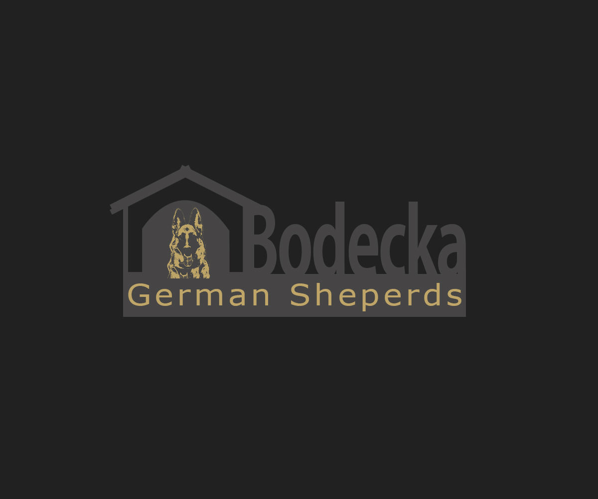 Logo Design by meygekon for ELECTRICAL INSPECTORS | Design #2732597