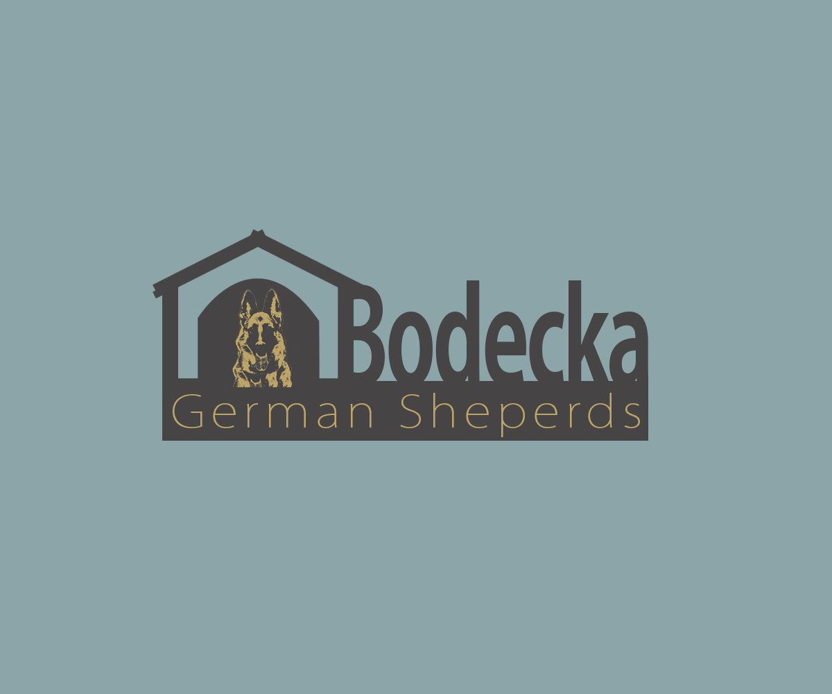 Logo Design by meygekon for ELECTRICAL INSPECTORS | Design #2732665