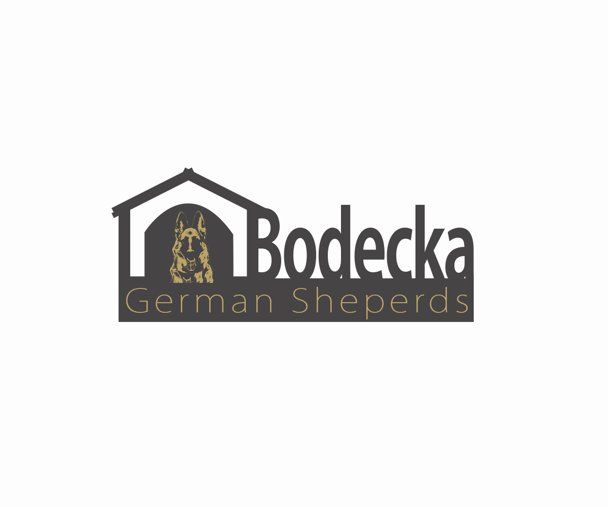 Logo Design by meygekon for ELECTRICAL INSPECTORS | Design #2732683