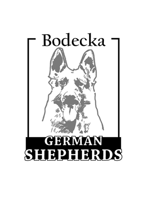 Logo Design by Clint