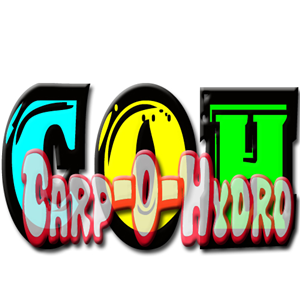 Logo Design by Brenyo